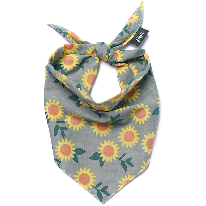 The Paws Bandana - Cromwell Fall