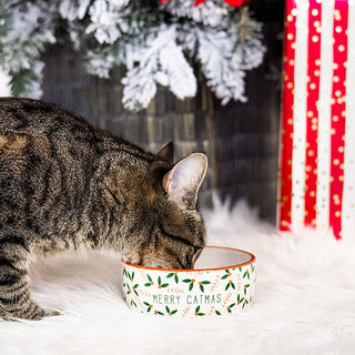 Pearhead "Merry Catmas" Cat Holiday Bowl