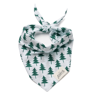 The Paws Bandana - Bellingham