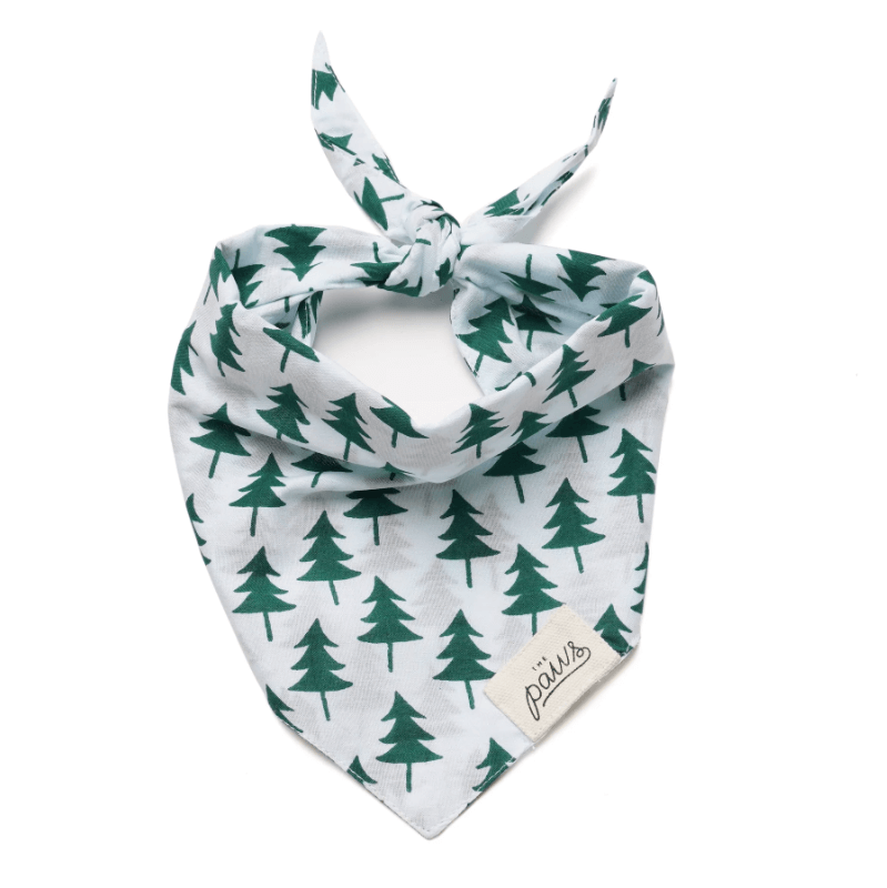 The Paws Bandana - Bellingham