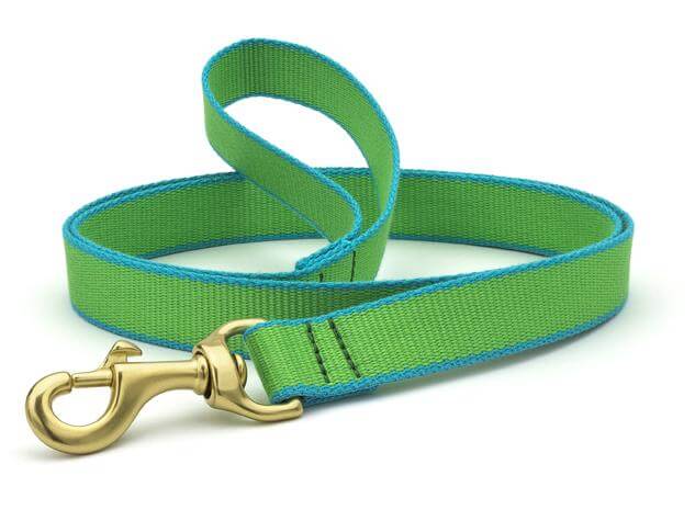 Up Country Color Market Leash