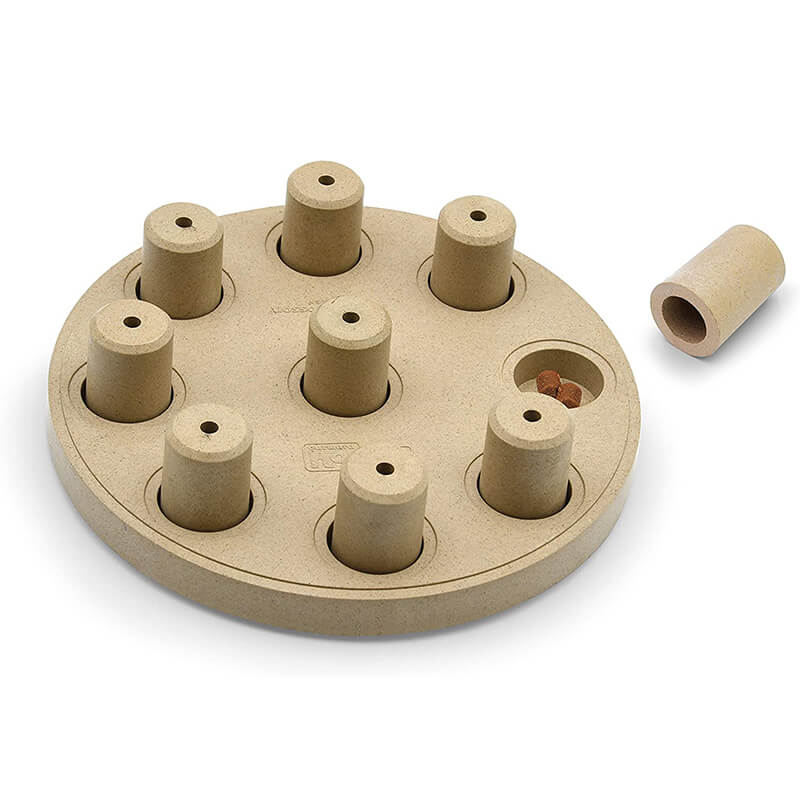 Outward Hound Nina Ottosson Composite Smart Dog Game