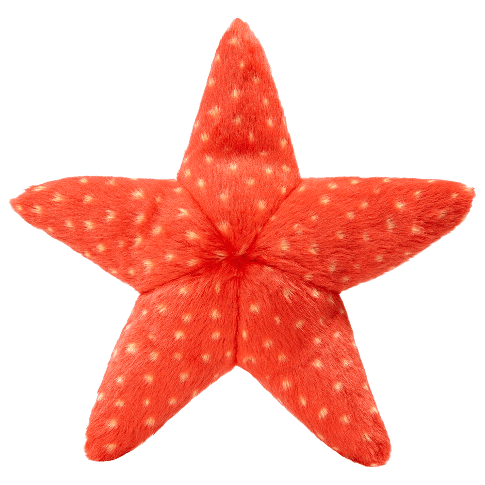 Fluff & Tuff Ziggy Starfish