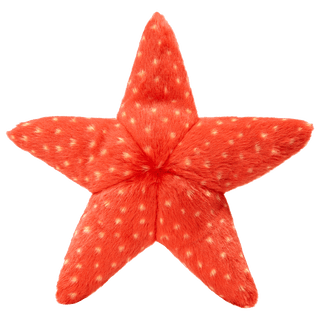 Fluff & Tuff Ziggy Starfish