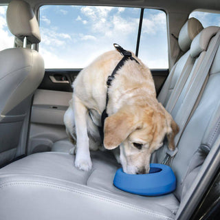 Kurgo Wander Splash Free Bowl