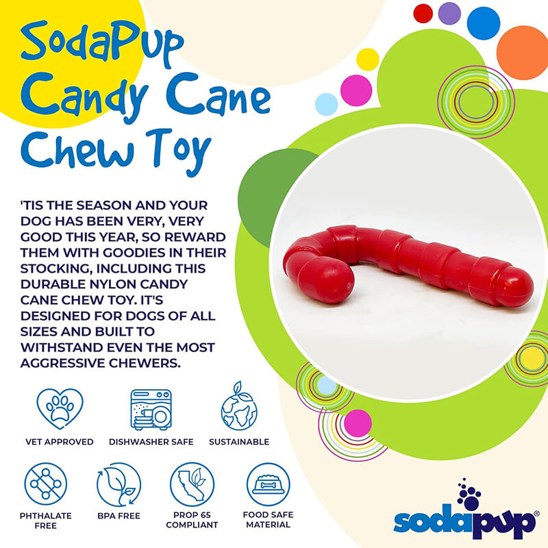 SodaPup Durable Nylon Candy Cane Chew Toy