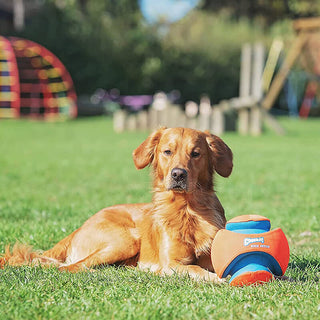 Chuckit! Kick Fetch