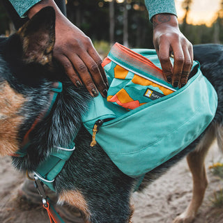 Ruffwear Front Range Day Pack
