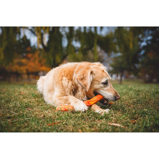 Ruffwear Gnawt-a-Stick