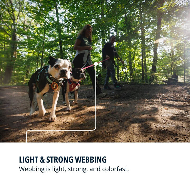 Ruffwear Hi & Light™ Leash