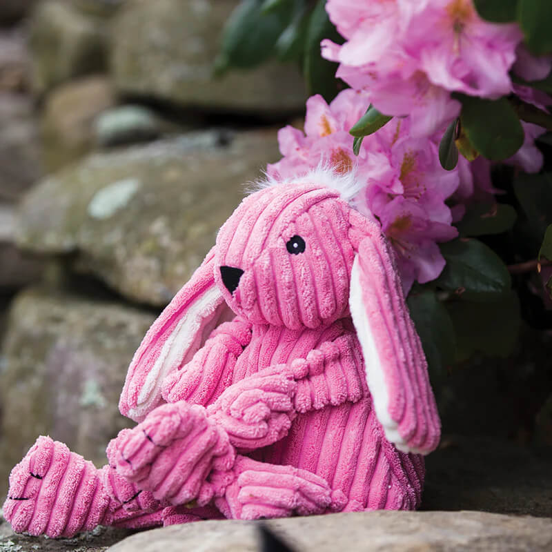 Hugglehounds Knottie Bunny