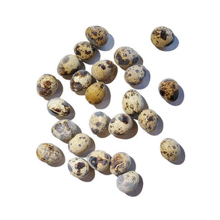 Savage Cat Freeze-Dried Quail Eggs