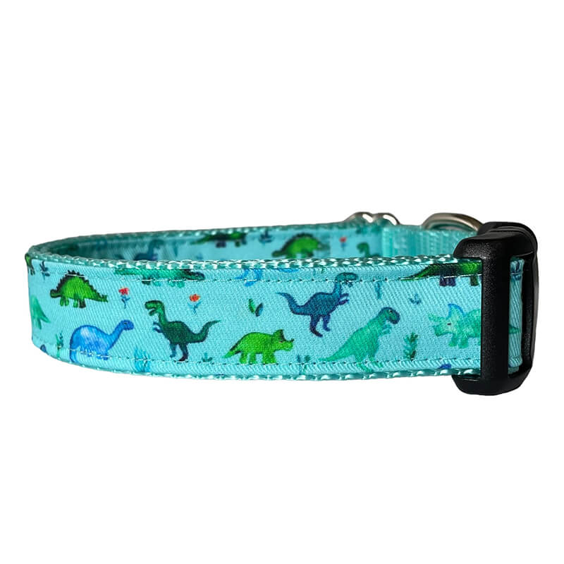 Sew Fetch Collar Aqua Dinosaur