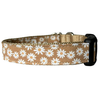 Sew Fetch Collar Gold Daisy