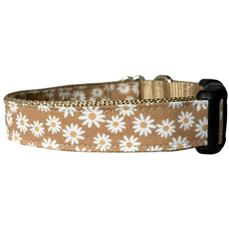 Sew Fetch Collar Gold Daisy