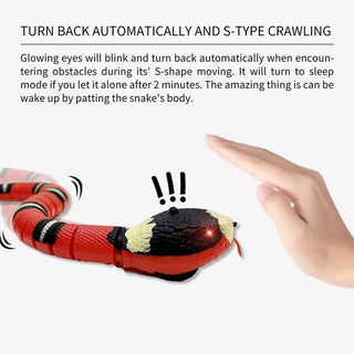 Spot Wigglin' Snake Electronic Cat Toy