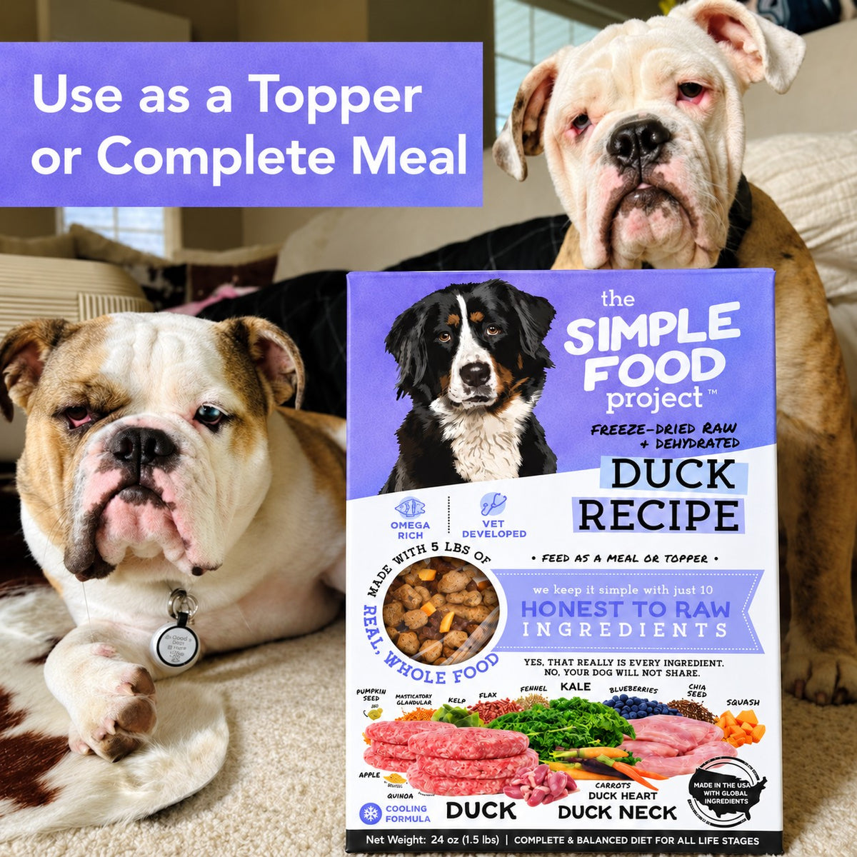 Simple Food Project Duck