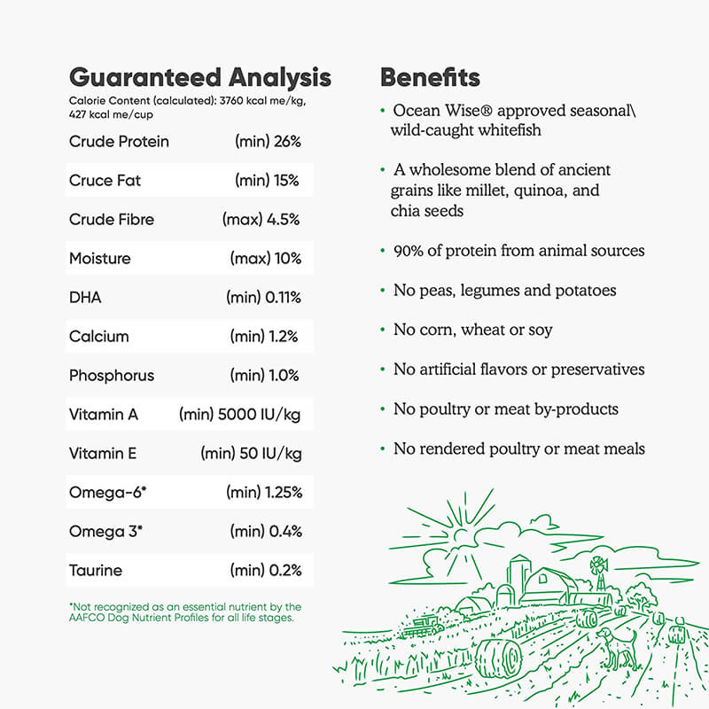 Open Farm Catch-of-the-Season Whitefish & Ancient Grains