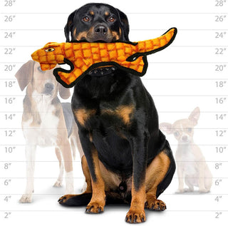 Tuffy® Desert Gila Monster