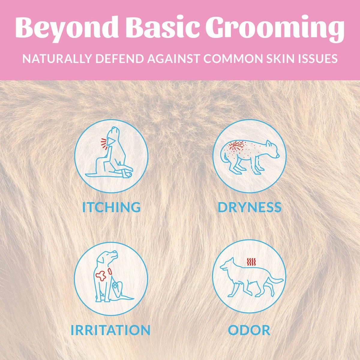 Skout’s Honor Probiotic Deodorizer – Happy Puppy