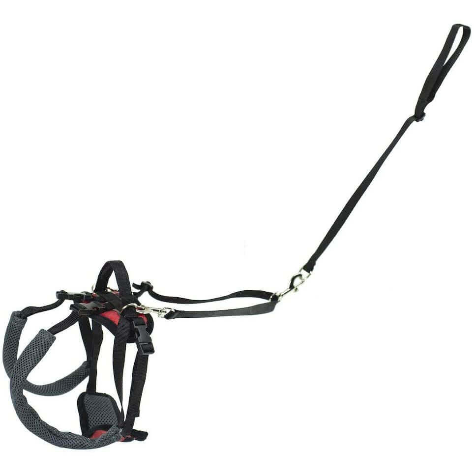 Petsafe Carelift Rear Support Harness