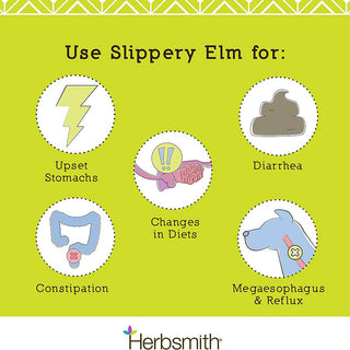 Herbsmith Slippery Elm Powder for Dogs and Cats