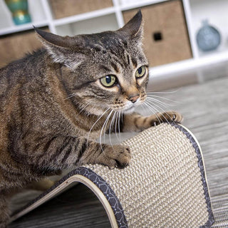 SmartyKat Sisal Angle Ramp Scratcher with Catnip
