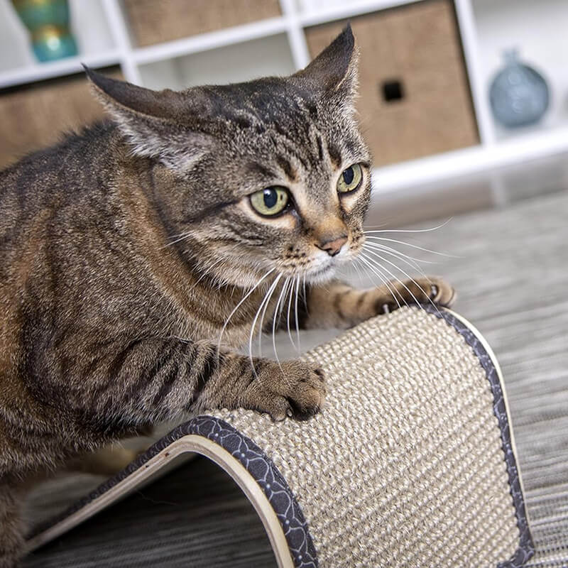 SmartyKat Sisal Angle Ramp Scratcher with Catnip