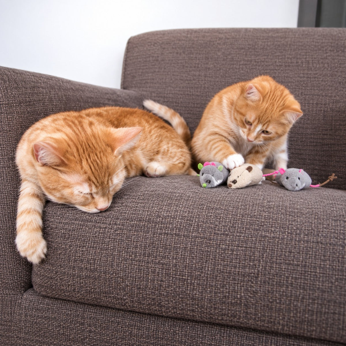 Smartykat Skitter Critters Value Pack Catnip Toys