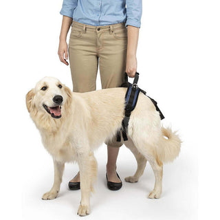 Petsafe Carelift Rear Support Harness
