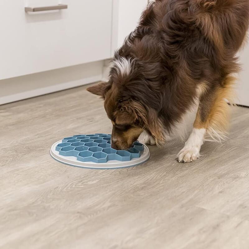 Trixie Slow Feeding Hive Plate