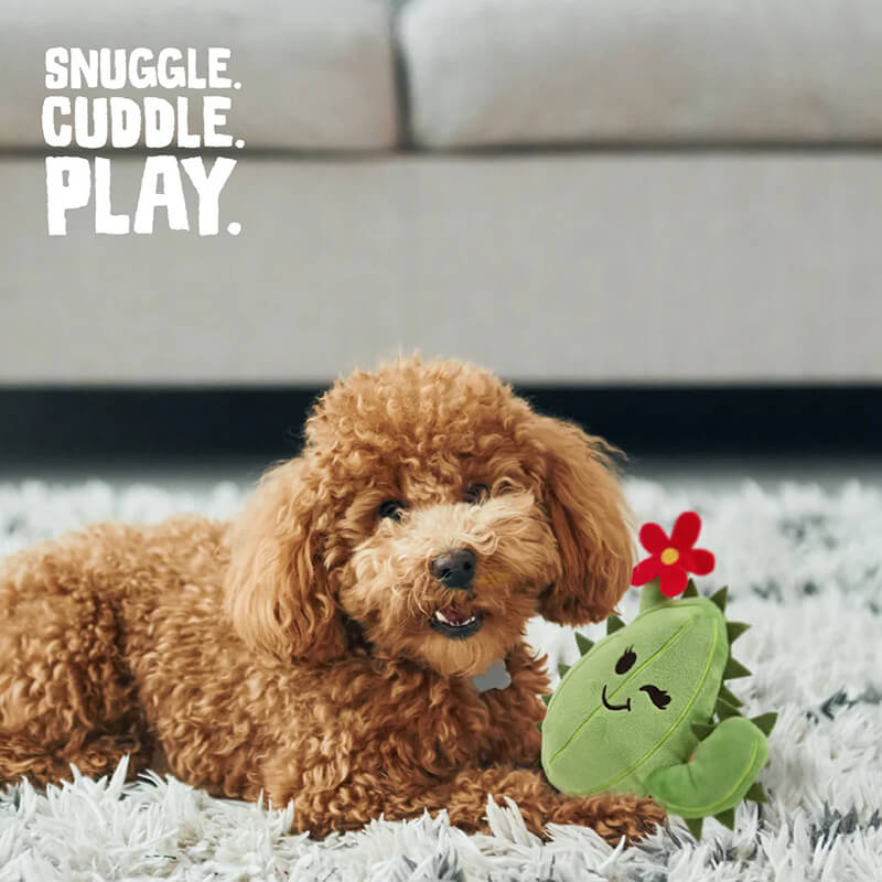 Snugarooz Chloe the Cactus Plush