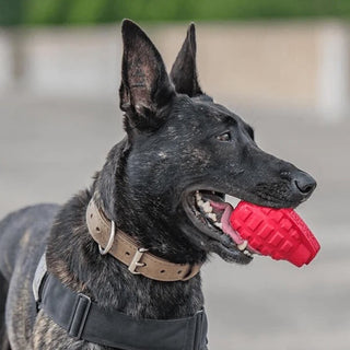 Soda Pup Pink Rubber Grenade