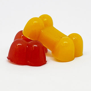 SodaPup Dogtastic Silicone Mold Bone Shapes