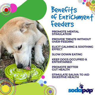 Sodapup Frog Design Enrichment Tray