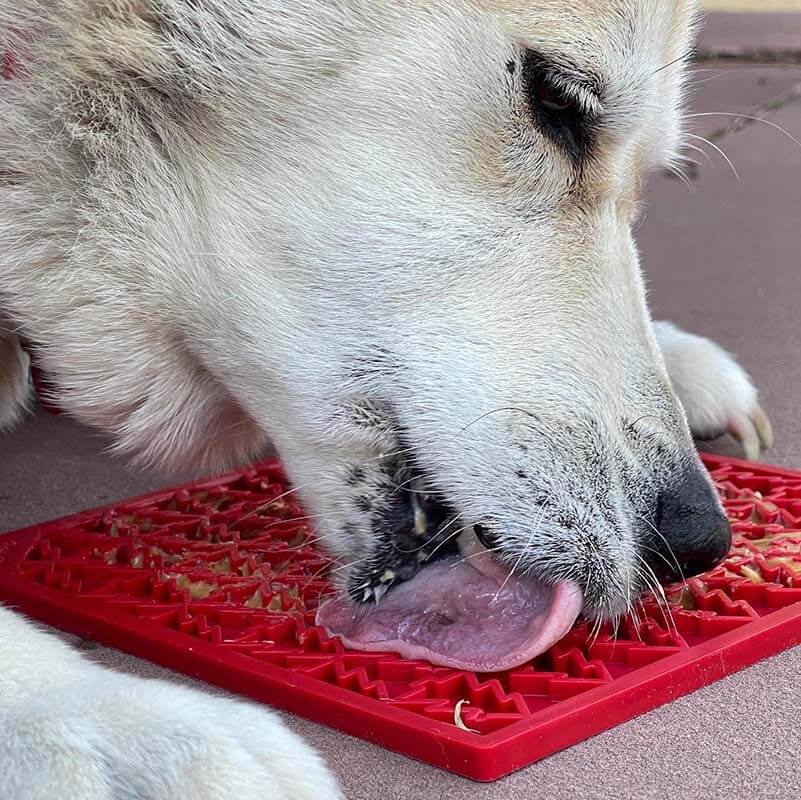 Sodapup Holiday Tree Peace  Lick Mat
