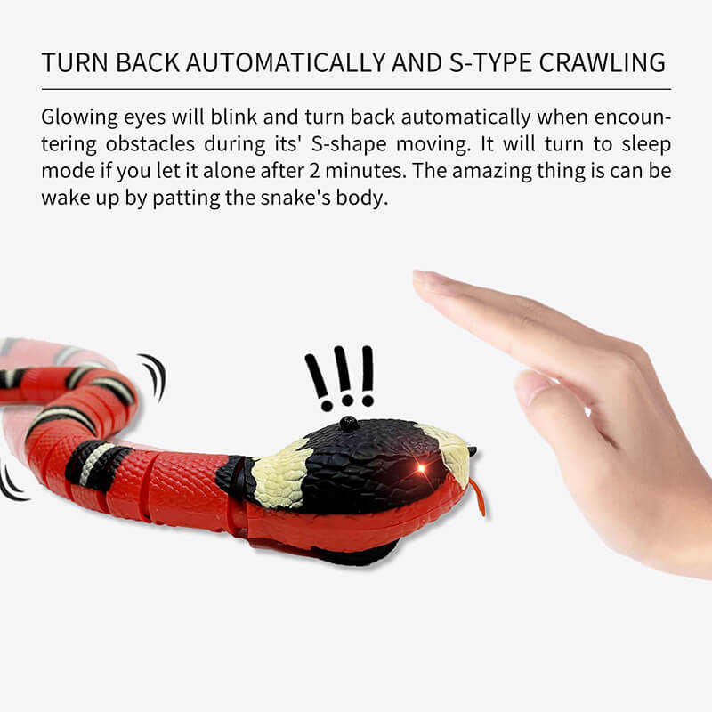 Spot Wigglin' Snake Electronic Cat Toy