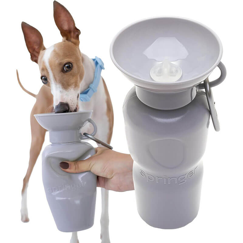 Springer Classic Dog Water Travel Bottle
