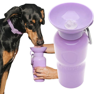 Springer Classic Dog Water Travel Bottle