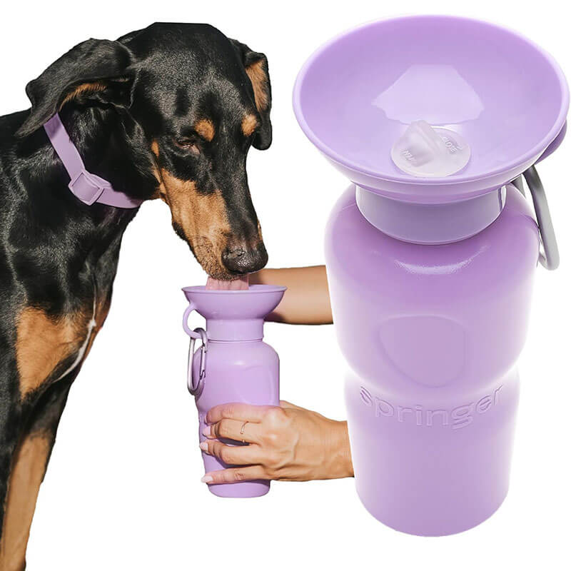 Springer Classic Dog Water Travel Bottle