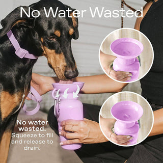 Springer Classic Dog Water Travel Bottle