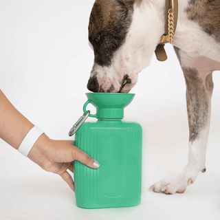 Springer Growler Dog Water Travel Bottle