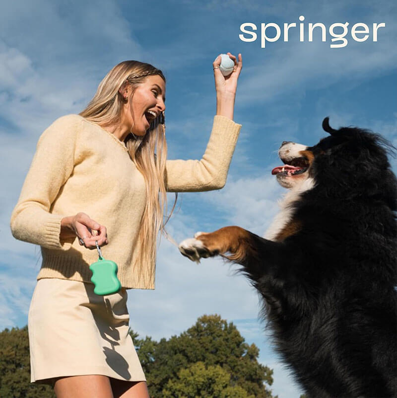 Springer Silicone Dog Treat Dispenser