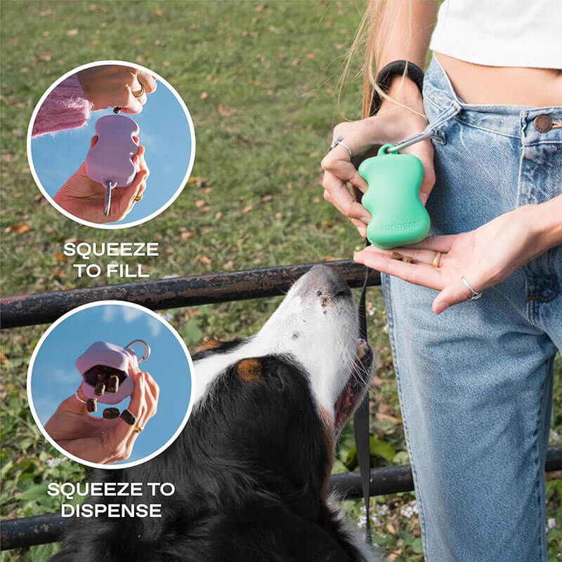 Springer Silicone Dog Treat Dispenser