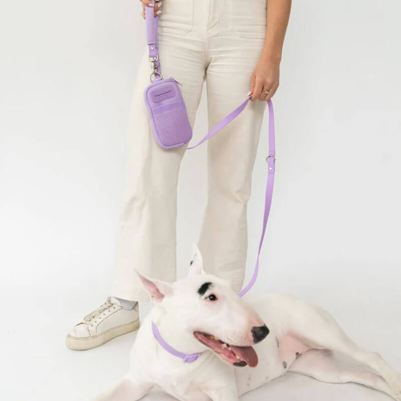 Springer Walk Bag + Leash
