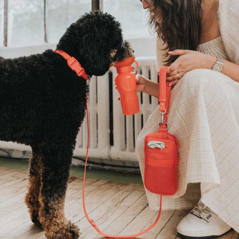 Springer Walk Bag + Leash