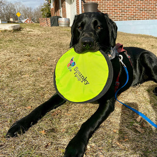 Spunky Pup Flying Soft Disc