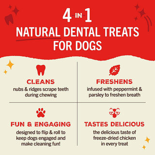 Stella & Chewy's Dental Delights Large
