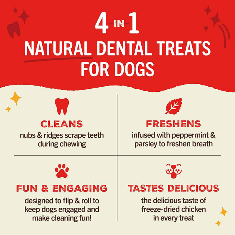 Stella & Chewy's Dental Delights Large