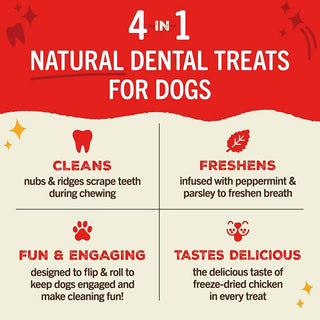 Stella & Chewy's Dental Delights Medium